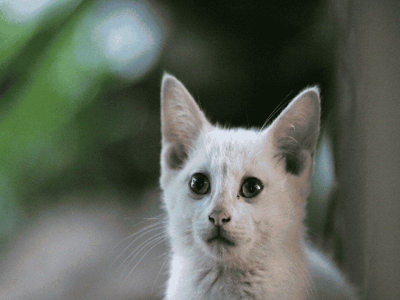 太原试管精子卵子结果（泰国洗精术费用是都是）